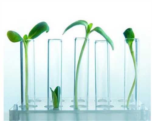 江西助孕官网网站不孕不育的解决方式