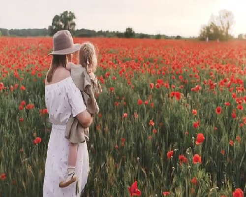 2026南昌助孕供卵试管的医院排名新鲜出炉！费用及成功率参考