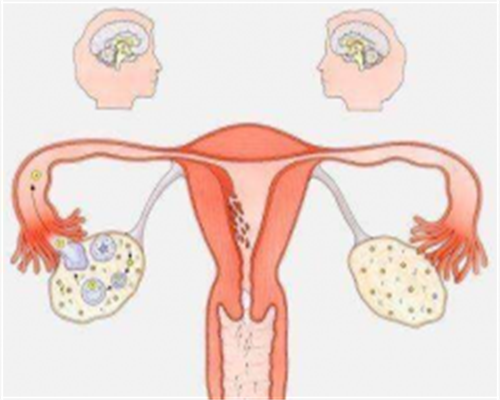 南昌代孕公司安全吗八个月有点贫血怎么办