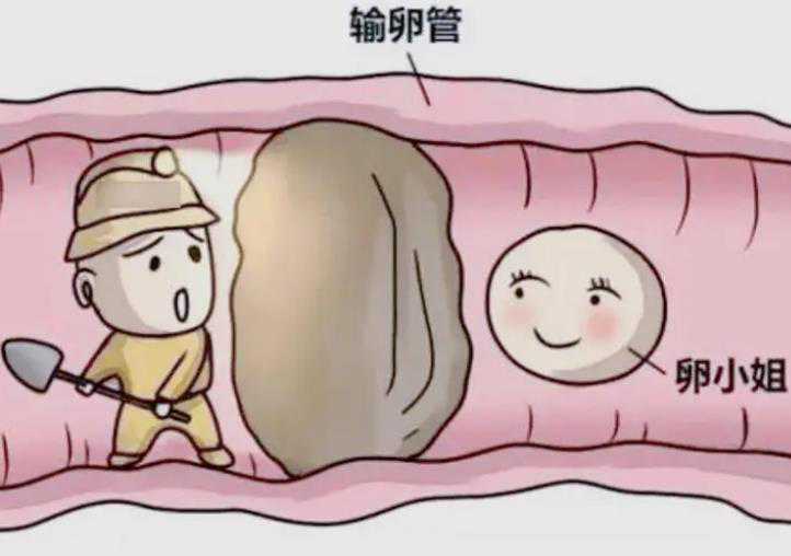 南昌代生男孩中心吃精氨酸合适吗(GNC精氨酸备孕可以吃吗)