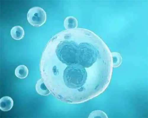 陕西试管婴儿南昌代孕包成功在哪移植成功率高的医院有哪些？陕西能做供卵第