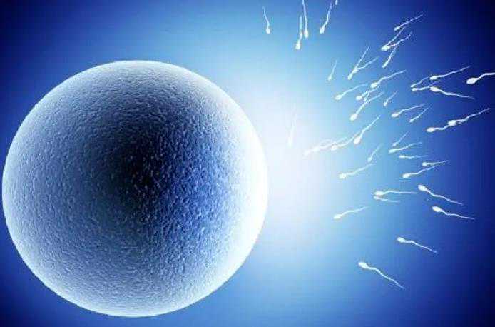 假性南昌医院收卵子吗能测出两条线