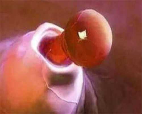 二胎南昌代孕生子多少钱准备工作备孕要做哪些检查!，备孕男人应该怎么做二