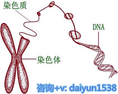 试管南昌包性别代孕套餐供卵费用(三亚供卵试管婴儿包成功)