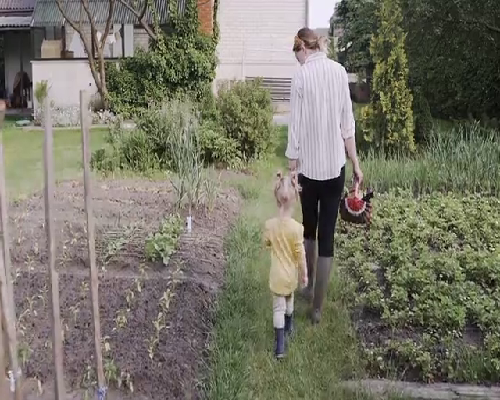 江西代怀试管平台,为您带来幸福的未来