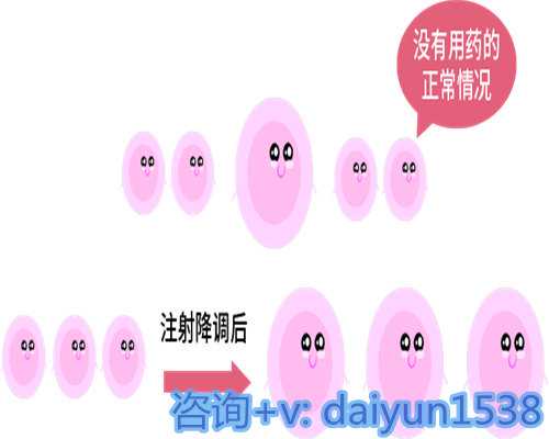 月经推迟10天南昌包性别代孕套餐多久了