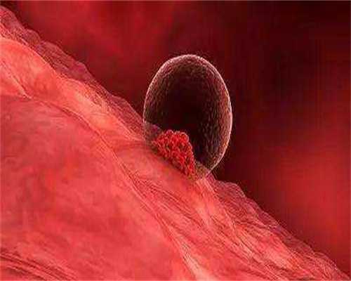 南昌最大的助孕公司哪个比较好