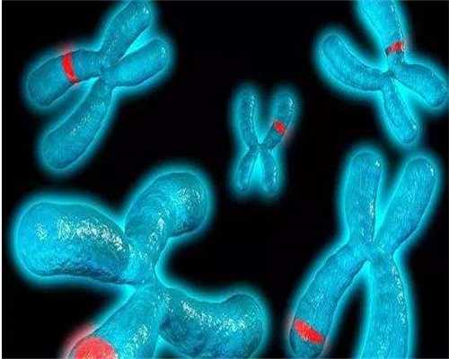 楚雄试管南昌借腹产子好吗医院哪家好？附费用成功率预估