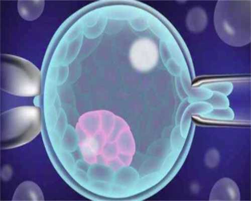 做试管龙凤胎南昌代孕公司哪家公司好需多少钱：榴莲炖鸡的禁忌